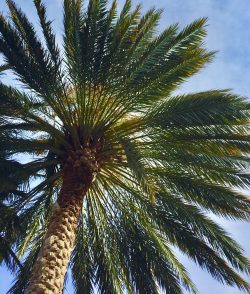 Inpatient Drug Rehab Centers in Cantonment, FL